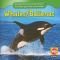 Whales/Ballenas (Animals That Live in the Ocean/Animales Que Viven En El Oceano)