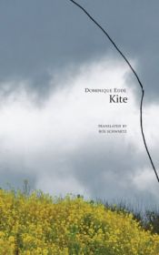 book cover of Kite by Dominique Eddé