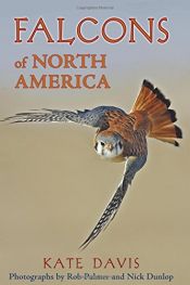 book cover of Falcons of North America by Kate Davis