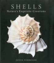 book cover of Shells: Nature's Exquisite Creations by Joyce Tenneson