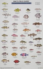 book cover of Mac's Field Guides: California Coastal Fish by Craig MacGowan