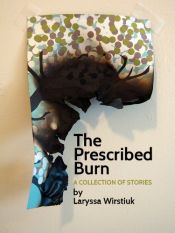 book cover of The Prescribed Burn by Laryssa Wirstiuk