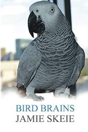 book cover of Bird Brains by Jamie Skeie