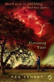 book cover of Runaway twin by Peg Kehret