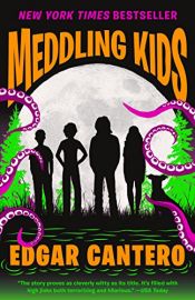 book cover of Meddling Kids: A Novel (Blyton Summer Detective Club Adventure) by Edgar Cantero