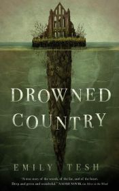 book cover of Drowned Country by Emily Tesh