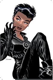 book cover of Catwoman Vol. 1: Trail of the Catwoman by Darwyn Cooke|Ed Brubaker