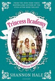 book cover of Princess Academy: The Forgotten Sisters by Shannon Hale