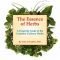 The Essence of Herbs: A Fingertip Guide to the Common Culinary Herbs