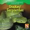 Snakes/Serpientes (Animals That Live in the Rain Forest/Animales de La Selva)