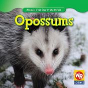 book cover of Opossums by JoAnn Early Macken