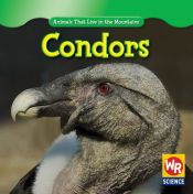 book cover of Condors (Animals That Live in the Mountains) by JoAnn Early Macken