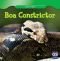 Boa Constrictor (Killer Snakes)