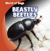 book cover of Beastly Beetles (World of Bugs) by Greg Roza