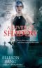 A Sliver of Shadow (Abby Sinclair, No. 2)