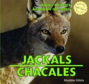 book cover of Jackals/Chacales (Safari Animals/Animales de Safari) by Maddie Gibbs