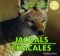 Jackals/Chacales (Safari Animals/Animales de Safari)