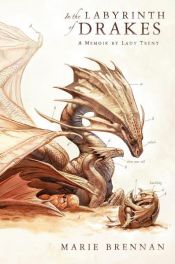 book cover of In the Labyrinth of Drakes by Marie Brennan