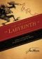 Jim Henson's Labyrinth: The Novelization