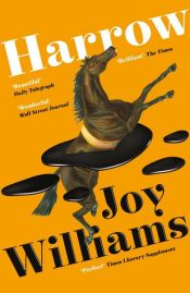 book cover of Harrow by Joy Williams