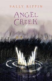 book cover of Angel Creek by Sally Rippin