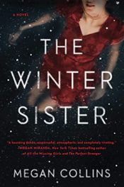 book cover of The Winter Sister by Megan Collins