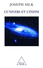 book cover of L' Univers et l’Infini by Joseph Silk
