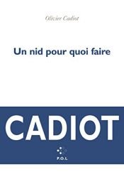 book cover of Un nid pour quoi faire by Olivier Cadiot