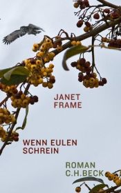 book cover of Wenn Eulen schrein by Janet Frame