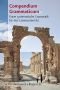 Compendium Grammaticum. Kurze systematische Grammatik für den Lateinunterricht (Lernmaterialien)