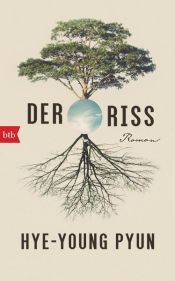 book cover of Der Riss by Pyun Hye-young