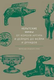 book cover of Кельтские мифы by Миранда Олдхаус-Грин