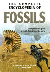 book cover of Geïllustreerde fossielen encyclopedie by Martin Ivanov